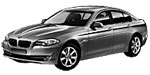 BMW F10 U252F Fault Code